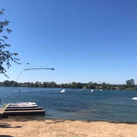 Appartement T3 Aux Deux Cigognes Gries Exteriör bild