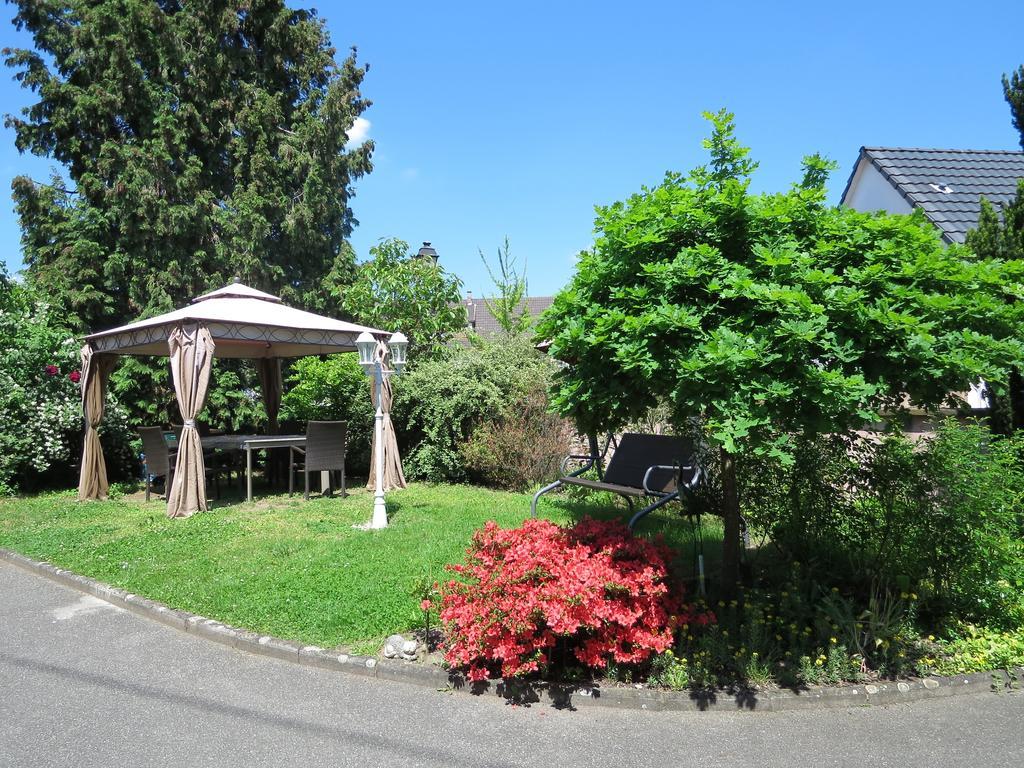 Appartement T3 Aux Deux Cigognes Gries Rum bild