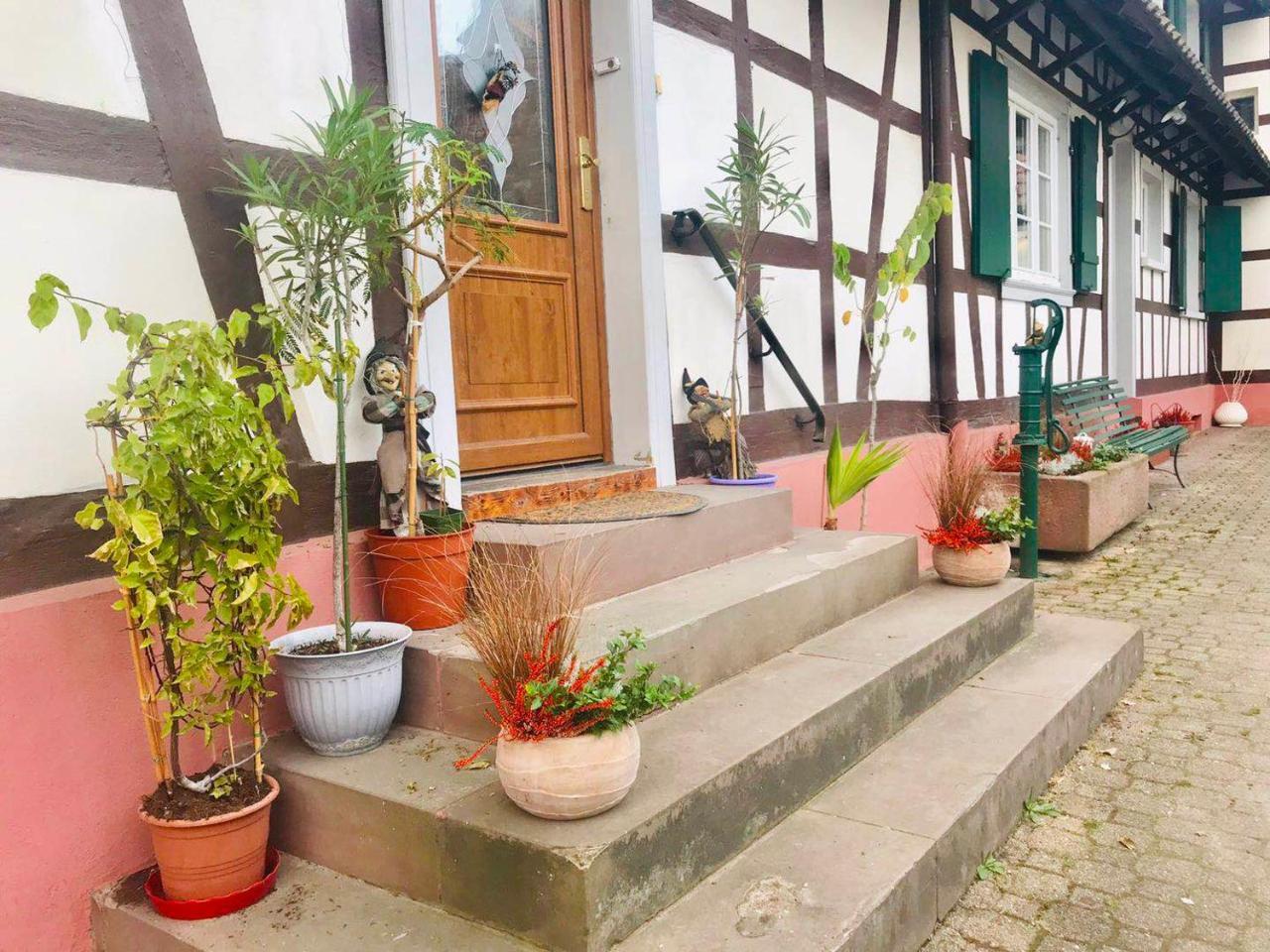 Appartement T3 Aux Deux Cigognes Gries Exteriör bild