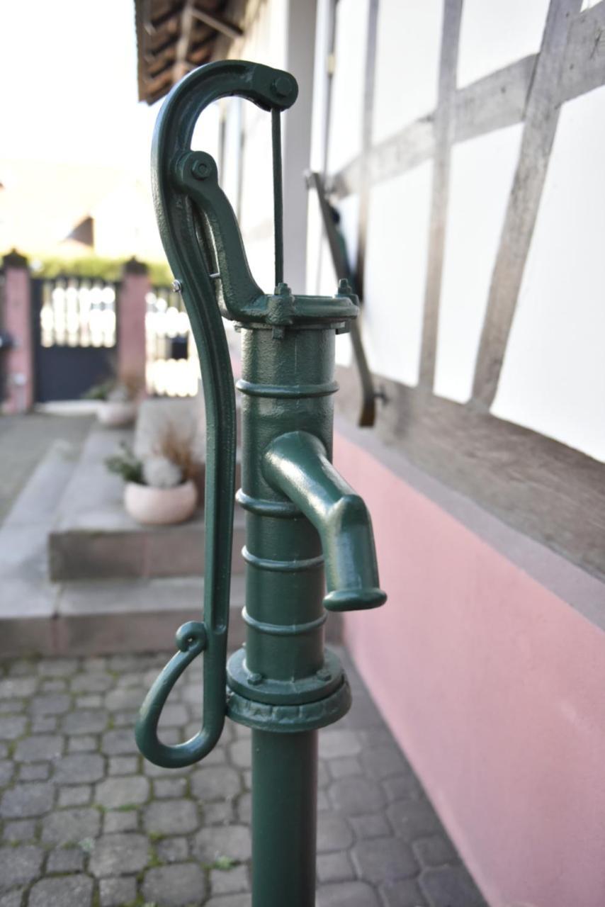 Appartement T3 Aux Deux Cigognes Gries Exteriör bild